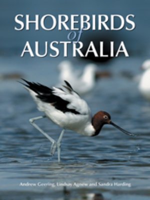 cover image of Shorebirds of Australia